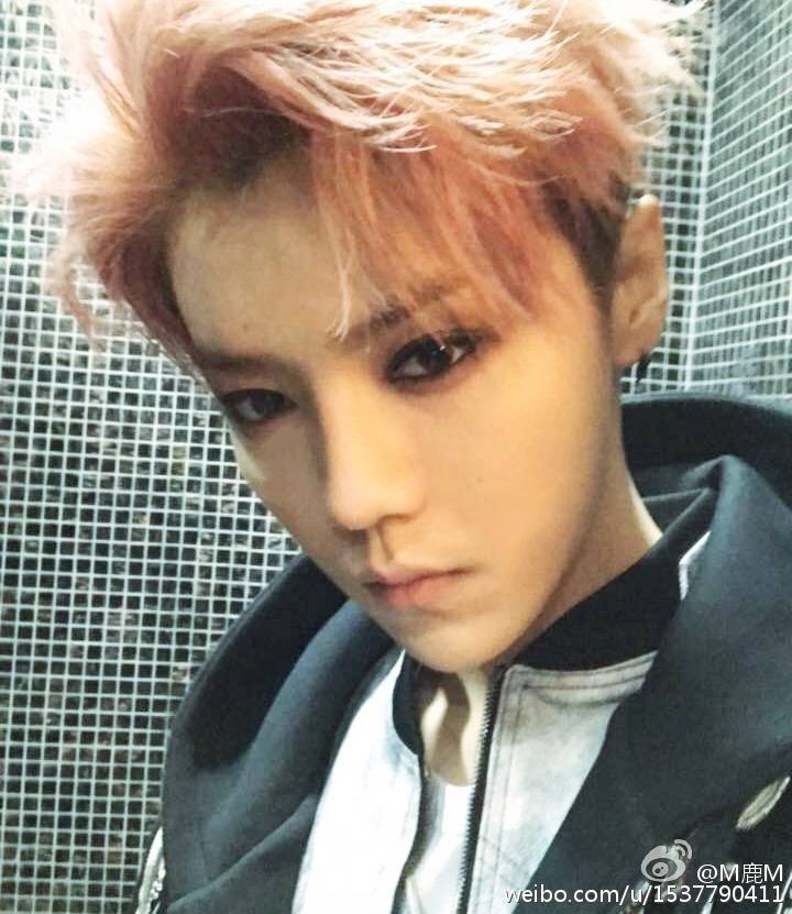 鹿晗优秀留学人员代表,鹿晗留学学的什么专业