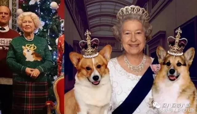 又到一年圣诞节,又到圣诞节了大家怎么看