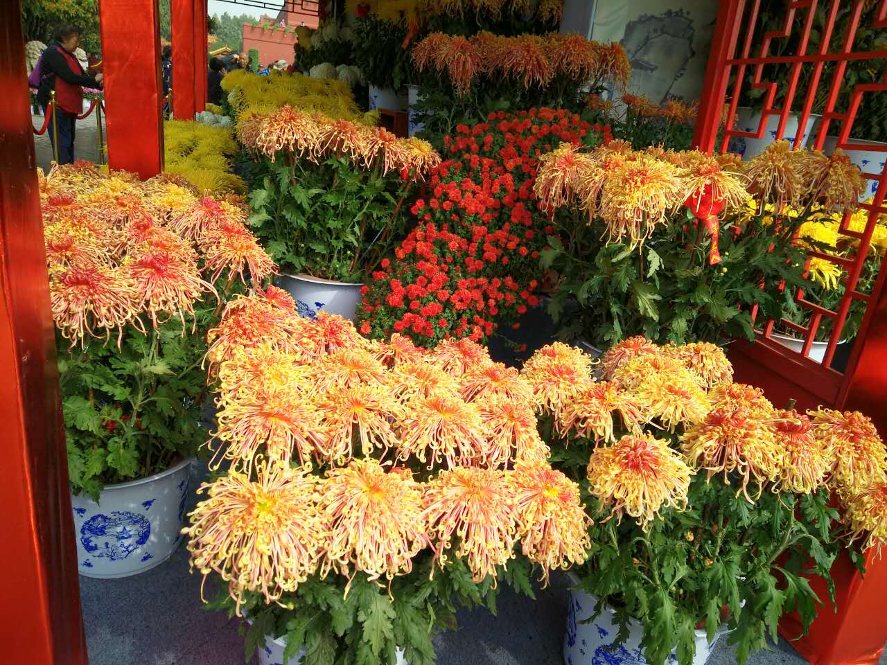 血压高糖尿病并发症中药方子最好,心绞痛高血压药