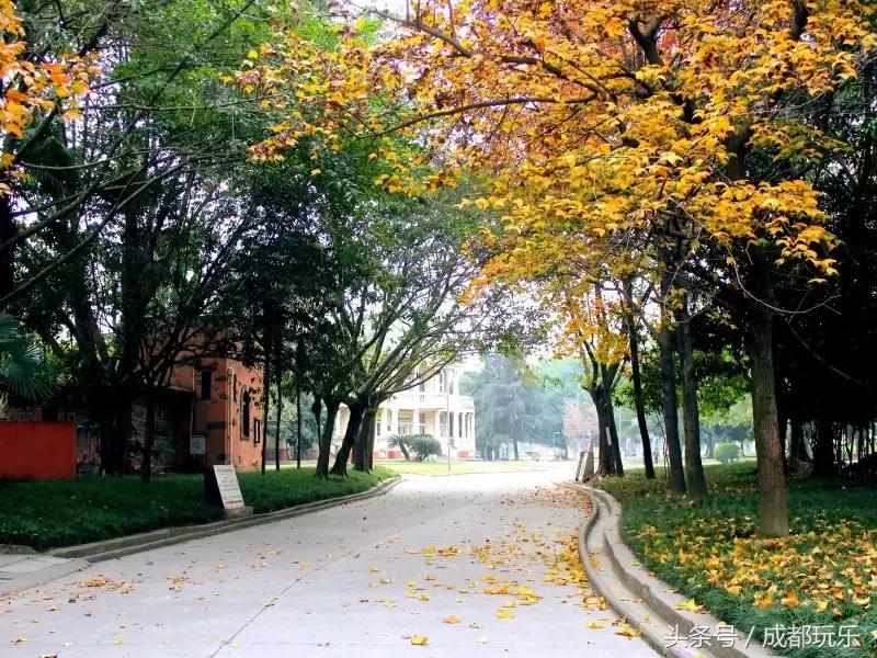 带你逛成都的名胜古迹,带你逛成都的街