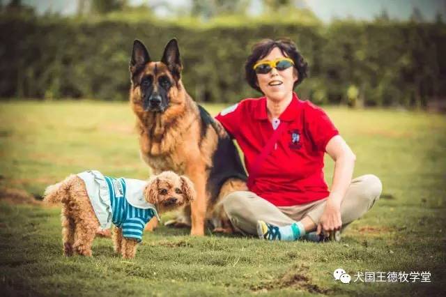 刘阿姨德牧,福多多德牧