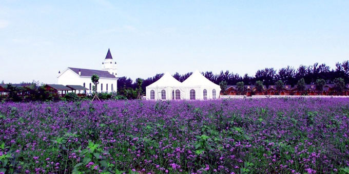 中国最大的薰衣草庄园,世界最漂亮的薰衣草庄园图片