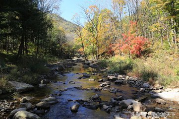 猴石森林公园游玩攻略,猴石国家森林公园几月份最佳