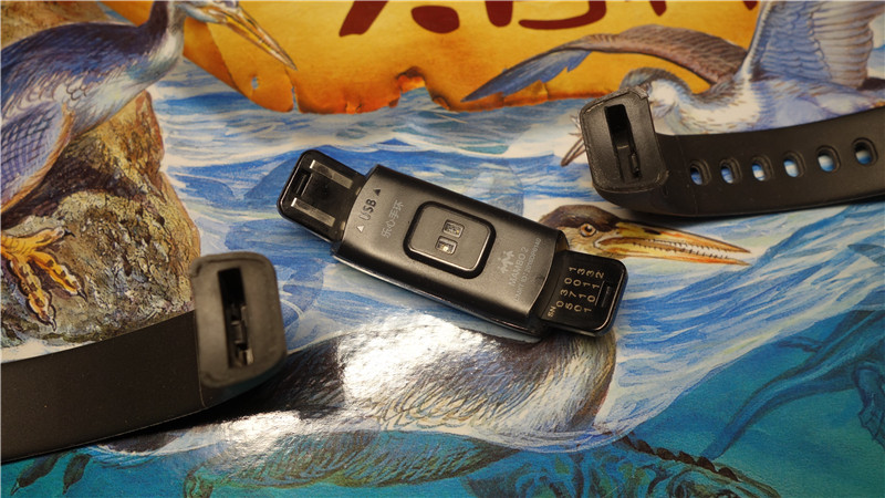 运动手环哪款心率监测好,运动心率监测手环评测