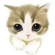 你的头像暴露了你喜欢谁,头像暴露了你的内心