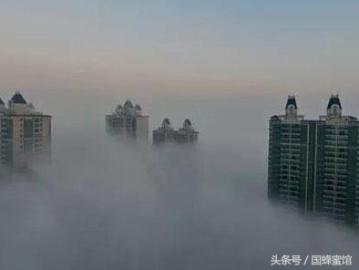 现在雾霾这么大，我得喝点蜂蜜静一静