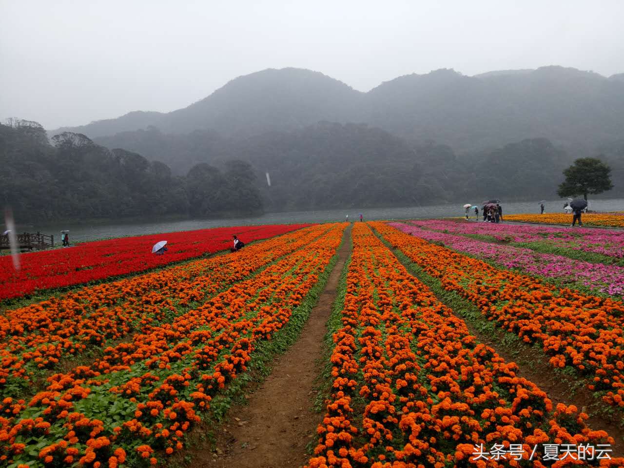 经验之谈生活感悟,高密度帆布池养鱼经验之谈