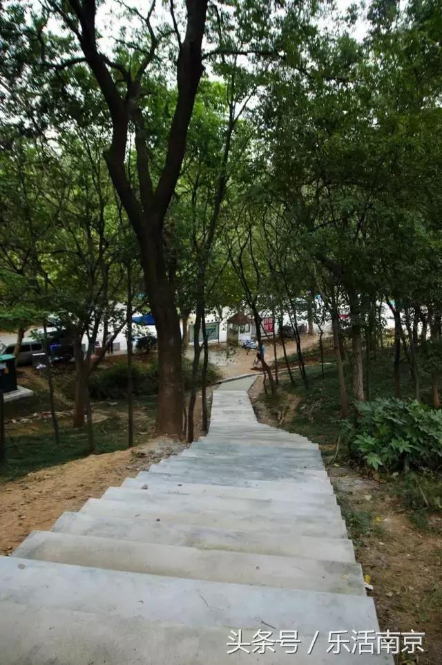 如果可以，请留在南工！浦珠南路30号，留下了我太多的青春！