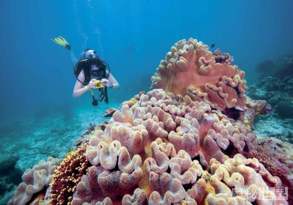 世界上最美的地方,世界上最美的地方是什么样的