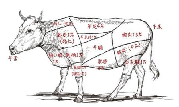 潮汕牛肉火锅每日三牛,潮汕牛肉火锅三涮