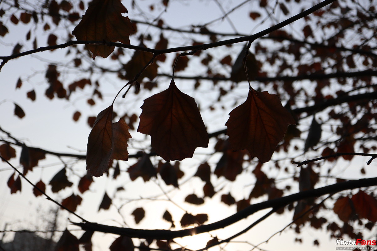 无反长焦镜头,18-50f2.8变焦镜头