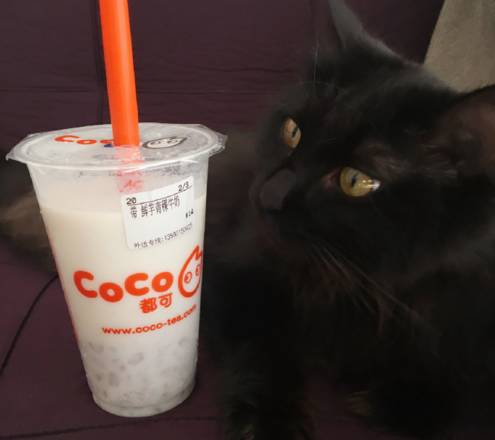 夏天好喝的奶茶店推荐,常州好喝的奶茶店排行榜