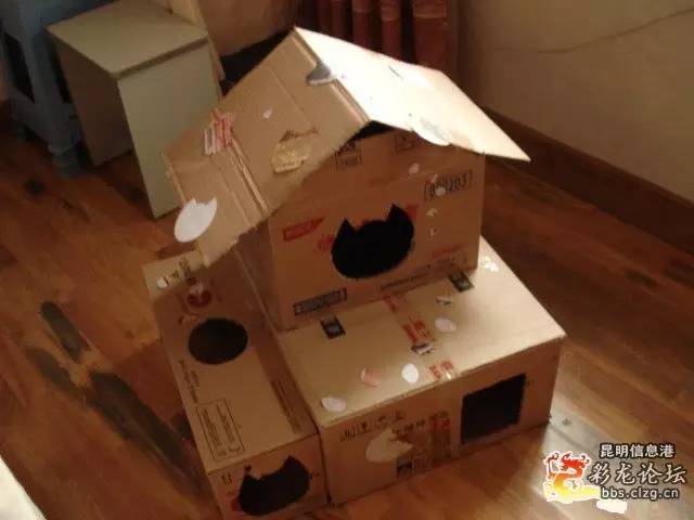怎么用纸箱做猫屋,猫咪纸箱屋