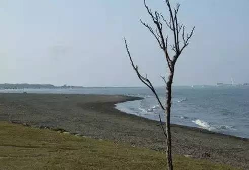 台湾旅游景点大全排名前十名,台湾宜兰旅游景点简介