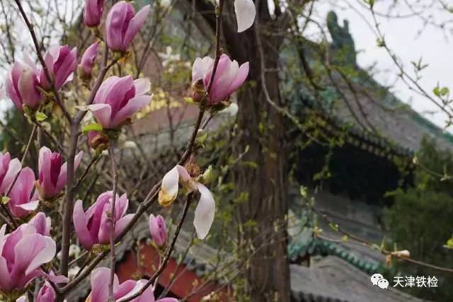 鍜岃皭鑷劧鎽勫奖浣滃搧,鍜岃皭鑷劧鎽勫奖浣滃搧娆h祻