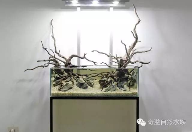 鱼缸摆放位置与属相,鱼缸的摆放位置以及风水影响