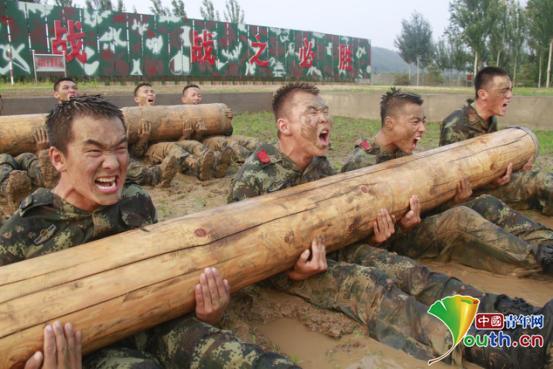 “90后”排长赵贺：肝胆报国践使命军旅无悔写忠诚