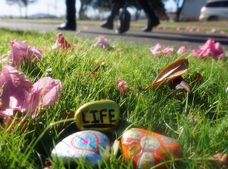 O,∩_∩O~溜达二姐16天独闯新西兰全程巴士