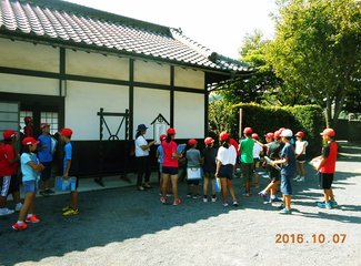 精致邮轮攻略,精致邮轮视频