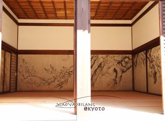 逛不尽的东瀛－二刷日本十五天