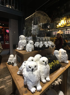 103-1013爱丁堡-剑桥-伦敦慢慢走细细看