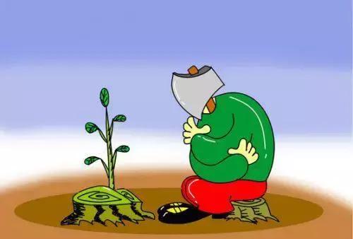 便宜几万块的车子,平行进口车一般多少钱一辆