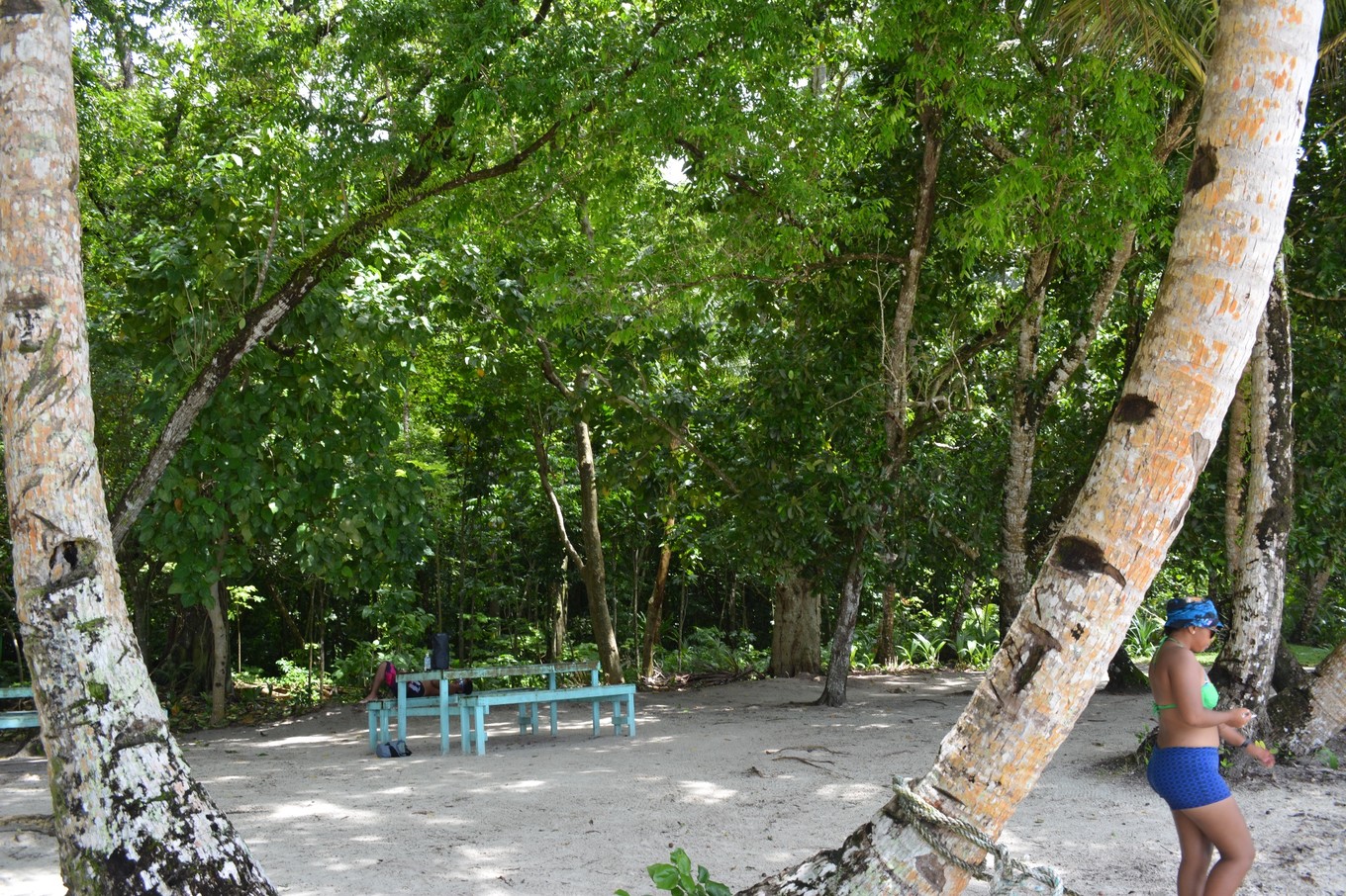 帕劳旅行攻略大全图文,帕劳旅行攻略图文大全