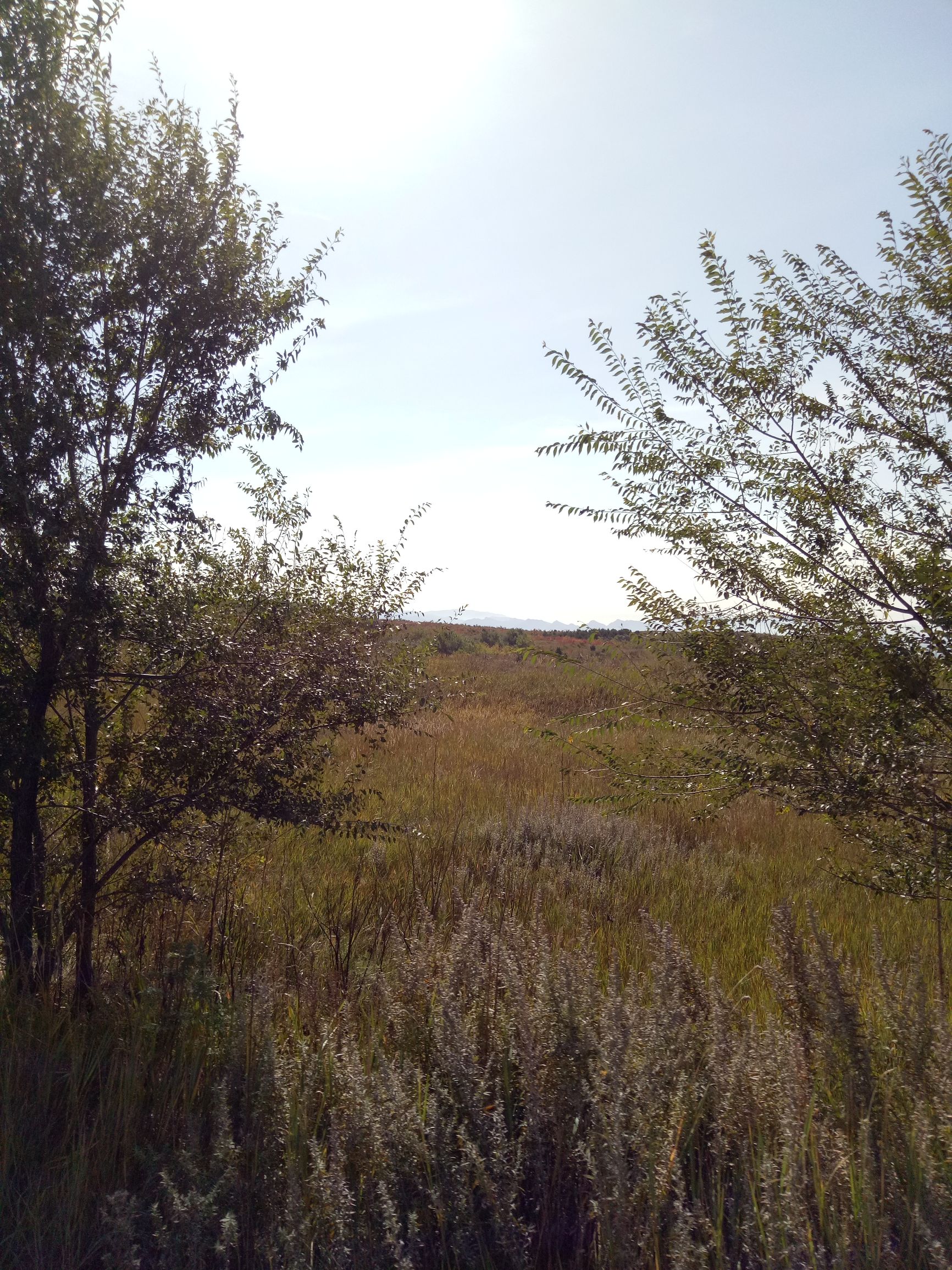 张北天路行,深度还原张北天路