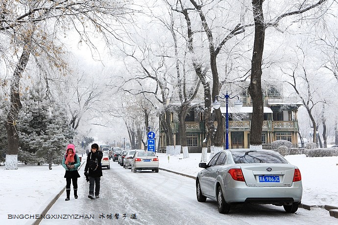 哈尔滨太阳岛的冬天照片,哈尔滨太阳岛的冬天有多美