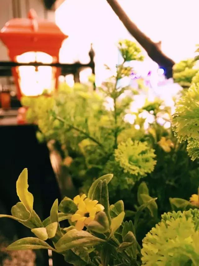 圣诞节去哪里吃大餐最合适,圣诞节给大家推荐3家餐厅