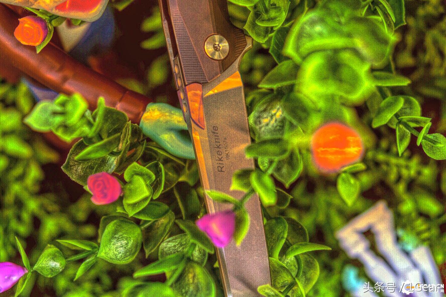 给你来点不一样的最佳战术*刀折**奖得主测评