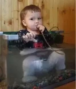 5岁男童腹部一会疼一会不痛,五岁男童肚子痛又吐是怎样情况