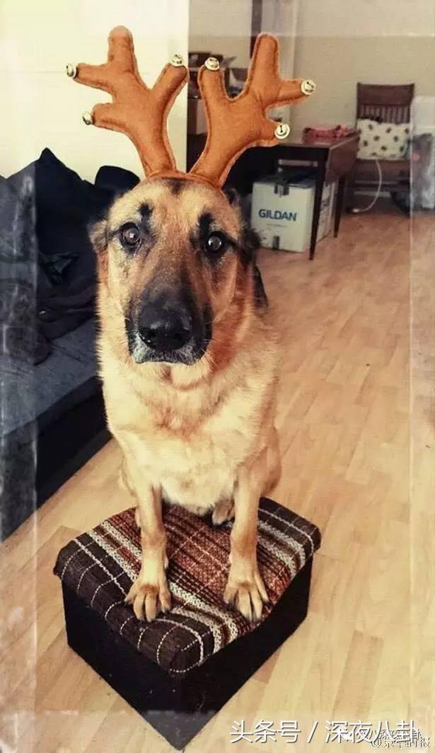 又到一年圣诞节完整视频,又到一年圣诞节