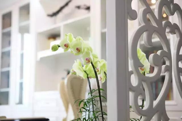 绅华府—圣诞气息的欧式风格，温馨浪漫奢华