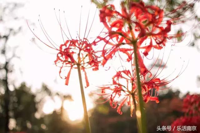 如果可以,请留在南工!浦珠南路30号,留下了我太多的青春!