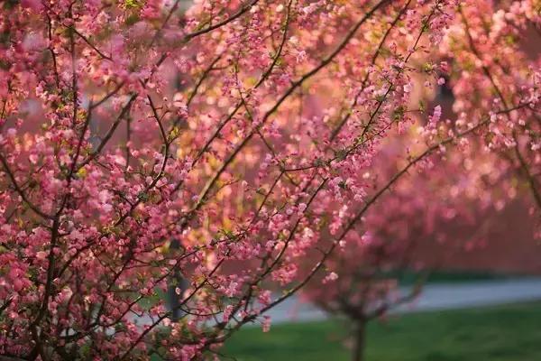 郑州速度！2条新地铁线下月开通，吃喝玩乐去哪儿都不愁
