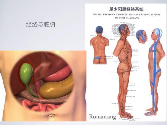 唐一杰瑜伽式呼吸,以觉为师唐一杰完整版