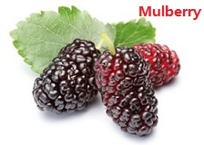 苹果的英文不是apple,苹果的英文发音是apple还是apple