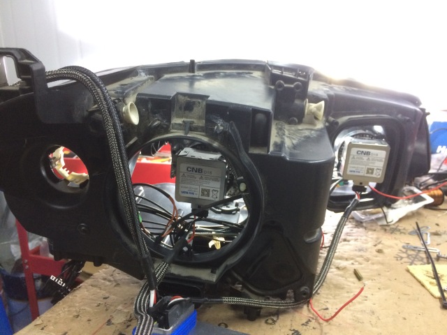 老马识途化险为夷,老马识途给我们带来了怎样的启示