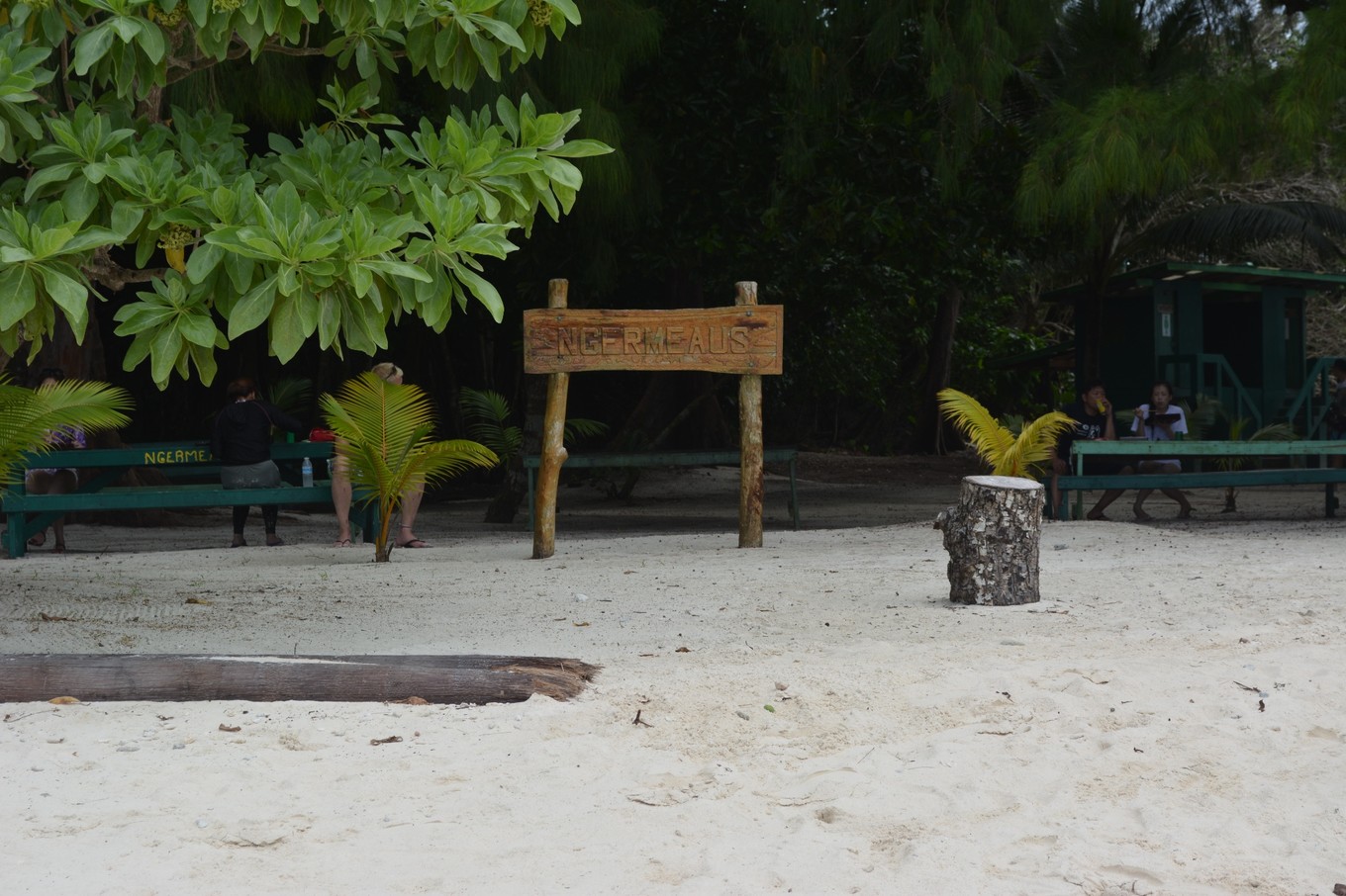 帕劳旅行攻略大全图文,帕劳旅行攻略图文大全