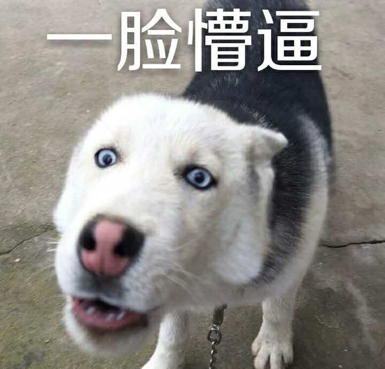 乔任梁女友拿到钱了吗,乔任梁的财产