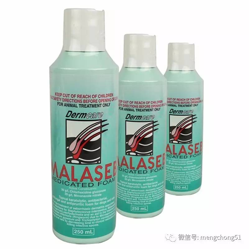 家有猫癣怎么消毒,家猫得了猫癣怎么预防传染人