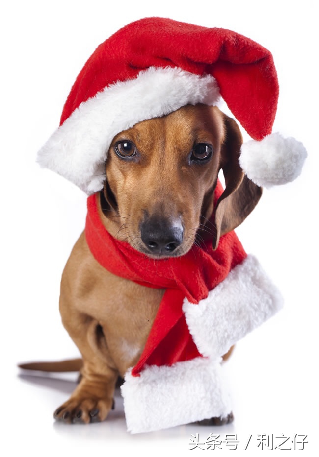 分娩前外阴消毒正确顺序,接产前产妇外阴消毒顺序