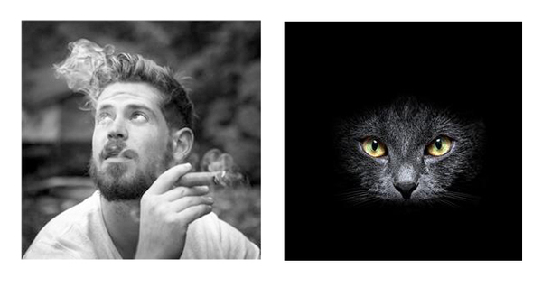 选择微信头像怎么选,你用的什么微信头像