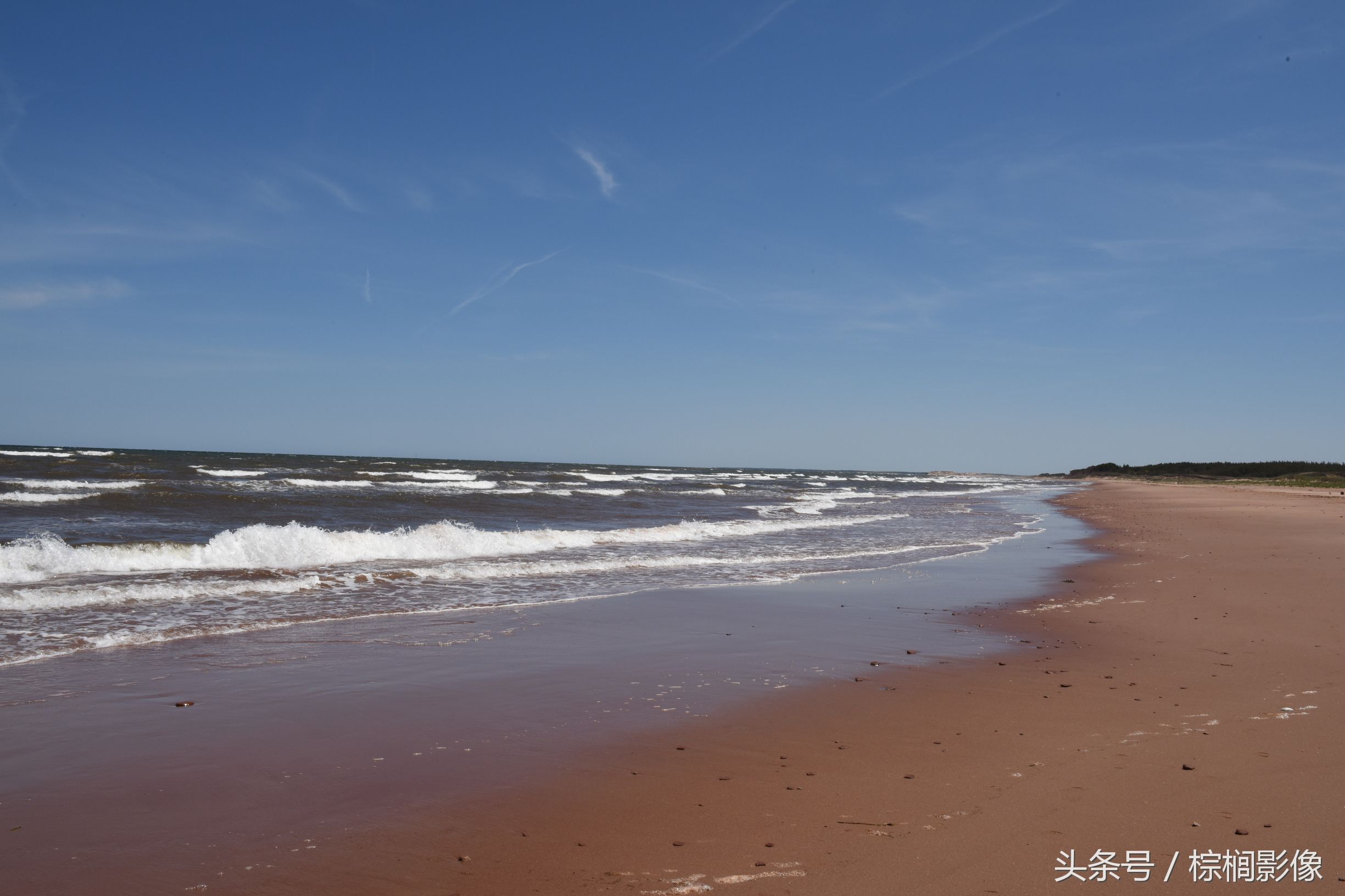 鐖卞痉鍗庣帇瀛愬矝鏈夋病鏈夊畨濡繖涓汉,缁垮北澧欑殑瀹夊Ξ鐖卞痉鍗庣帇瀛愬矝
