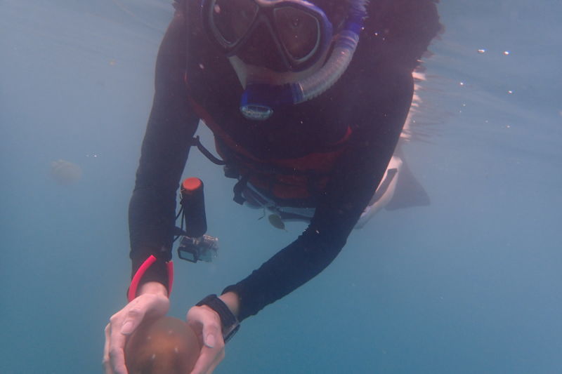 帕劳旅行攻略大全图文,帕劳旅行攻略图文大全