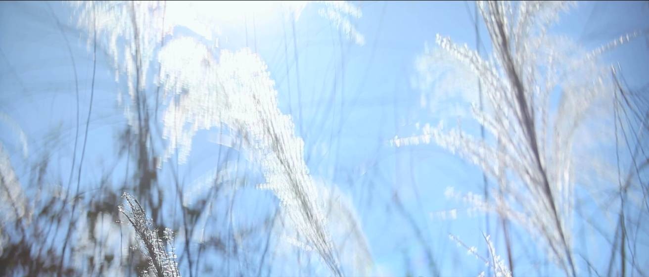 三言|“心”发现