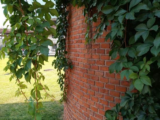 360手机n4优缺点,京东好评99%的产品怎么找到