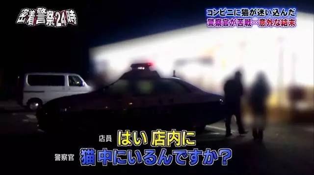 猫咪进餐厅被警察带走,猫咪禁止入内被逮捕