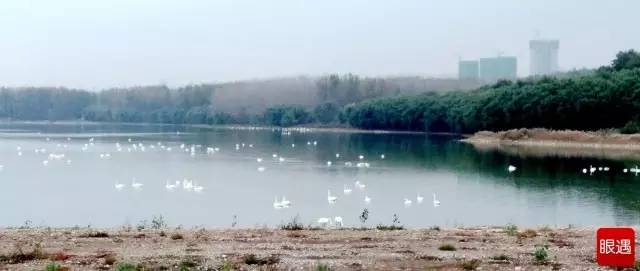 运城温泉门票热卖,运城附近的温泉哪里好